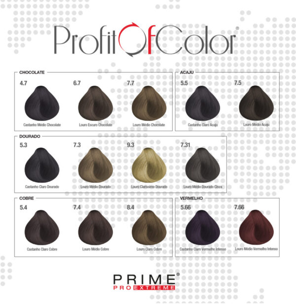 COLORING PROFIT OF COLOR - Image 2